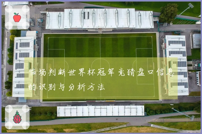 临场判断世界杯冠军竞猜盘口信息的识别与分析方法