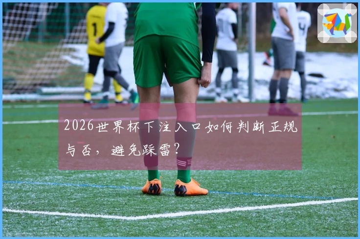 2026世界杯下注入口如何判断正规与否，避免踩雷？