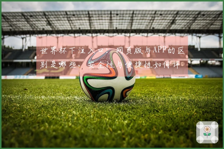 世界杯下注入口：网页版与APP的区别是哪些，安全性与便捷性如何评估？