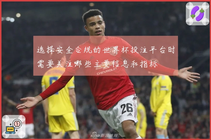 选择安全合规的世界杯投注平台时需要关注哪些主要信息和指标