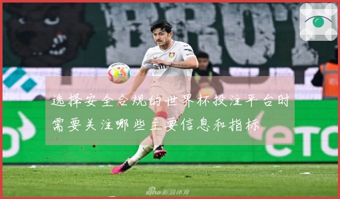 选择安全合规的世界杯投注平台时需要关注哪些主要信息和指标