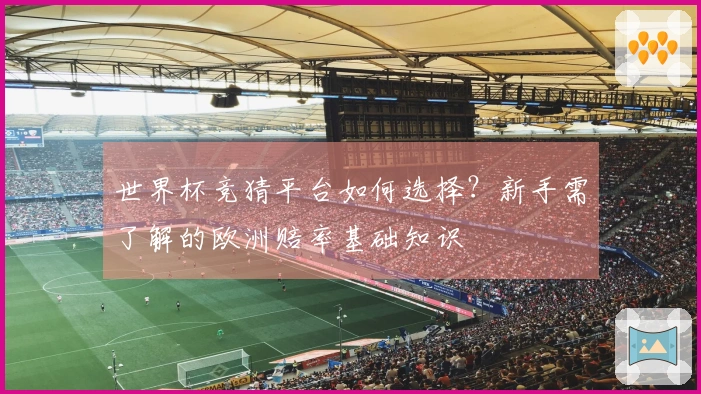 世界杯竞猜平台如何选择？新手需了解的欧洲赔率基础知识