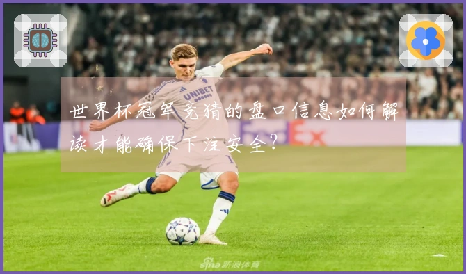 世界杯冠军竞猜的盘口信息如何解读才能确保下注安全？